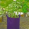 GSC Gardener's Best® Potato Grow Bag -Plant Supports Shop 8589785PR 4191 potato grow bags with handles tif