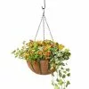 GSC AquaSavâ„¢ Oxford Hanging Basket, 14" 2 GSC AquaSavâ„¢ Oxford Hanging Basket, 14" -Plant Supports Shop 8589789 028 tif
