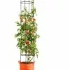 GSC Gardener's Best® Tomato Grow Bag Set 2 GSC Gardener's Best® Tomato Grow Bag Set -Plant Supports Shop 8590013PP 151 Tomato grow bag set tif