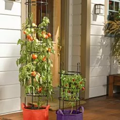 GSC Gardener's Best® Tomato Grow Bag Set -Plant Supports Shop 8590013 170 tif