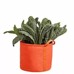 GSC Gardener's Best® Universal Grow Bag 13 GSC Gardener's Best® Universal Grow Bag -Plant Supports Shop 8590024PP 227 tif