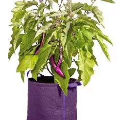 GSC Gardener's Best® Universal Grow Bag 12 GSC Gardener's Best® Universal Grow Bag -Plant Supports Shop 8590024PR 214 tif