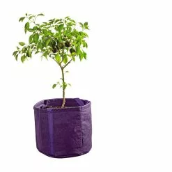 GSC Gardener's Best® Universal Grow Bag 14 GSC Gardener's Best® Universal Grow Bag -Plant Supports Shop 8590024PR 249 tif