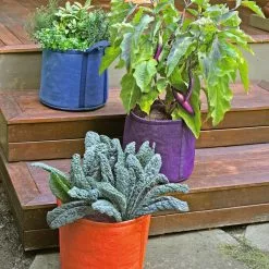 GSC Gardener's Best® Universal Grow Bag