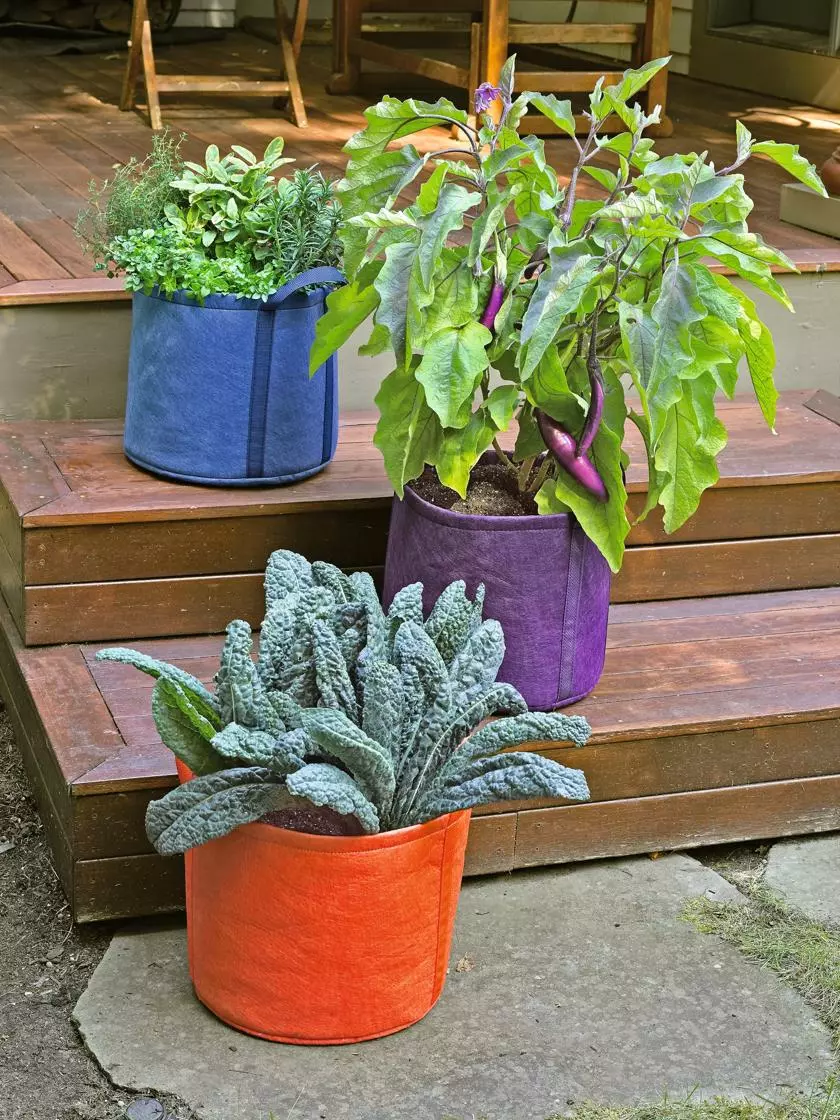 GSC Gardener's Best® Universal Grow Bag 3 GSC Gardener's Best® Universal Grow Bag