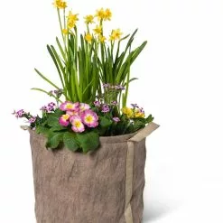 GSC Gardener's Best® Universal Grow Bag 15 GSC Gardener's Best® Universal Grow Bag -Plant Supports Shop 8590024 7307 tif