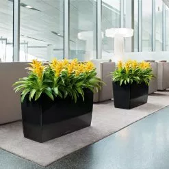 PRP Lechuza® Cararo Rectangular Indoor Planter With Casters 11 PRP Lechuza® Cararo Rectangular Indoor Planter With Casters -Plant Supports Shop 8590295 01v