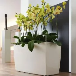 PRP Lechuza® Cararo Rectangular Indoor Planter With Casters