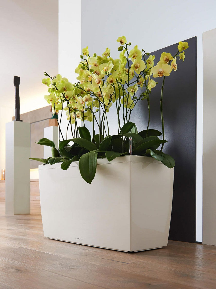 PRP Lechuza® Cararo Rectangular Indoor Planter With Casters 3 PRP Lechuza® Cararo Rectangular Indoor Planter With Casters