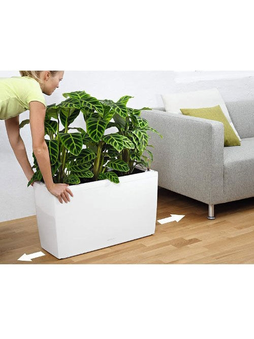 PRP Lechuza® Cararo Rectangular Indoor Planter With Casters 6 PRP Lechuza® Cararo Rectangular Indoor Planter With Casters - Image 4