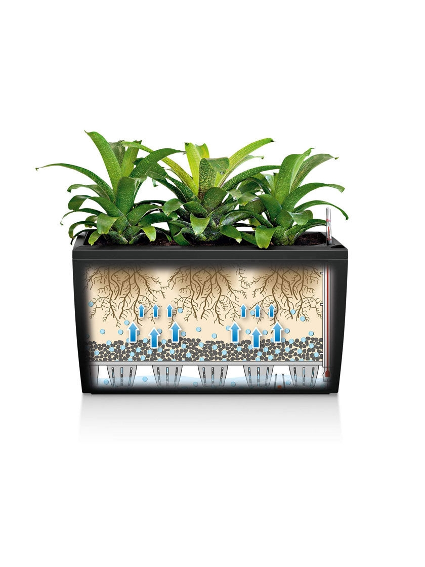 PRP Lechuza® Cararo Rectangular Indoor Planter With Casters 4 PRP Lechuza® Cararo Rectangular Indoor Planter With Casters - Image 2