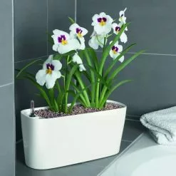 GSC Lechuza® Delta Self-Watering Windowsill Planters -Plant Supports Shop 8590298 01V tif