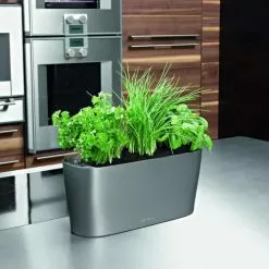 GSC Lechuza® Delta Self-Watering Windowsill Planters -Plant Supports Shop 8590298 02V tif