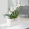 GSC Lechuza® Delta Self-Watering Windowsill Planters -Plant Supports Shop 8590298 03V tif