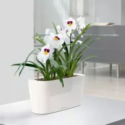 GSC Lechuza® Delta Self-Watering Windowsill Planters