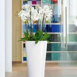 GSC Lechuza® Delta Premium Self-Watering Planters