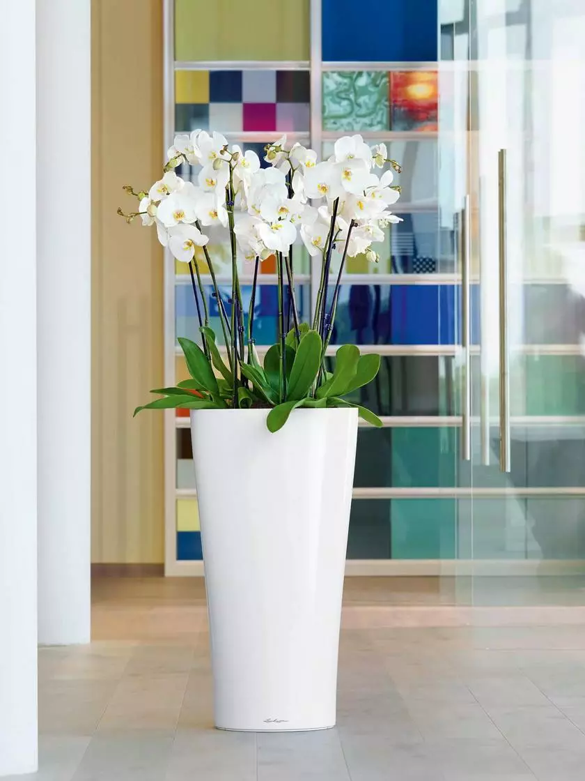 GSC Lechuza® Delta Premium Self-Watering Planters 3 GSC Lechuza® Delta Premium Self-Watering Planters