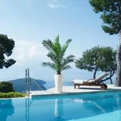 GSC Lechuza® Delta Premium Self-Watering Planters 12 GSC Lechuza® Delta Premium Self-Watering Planters -Plant Supports Shop 8590299 04V tif