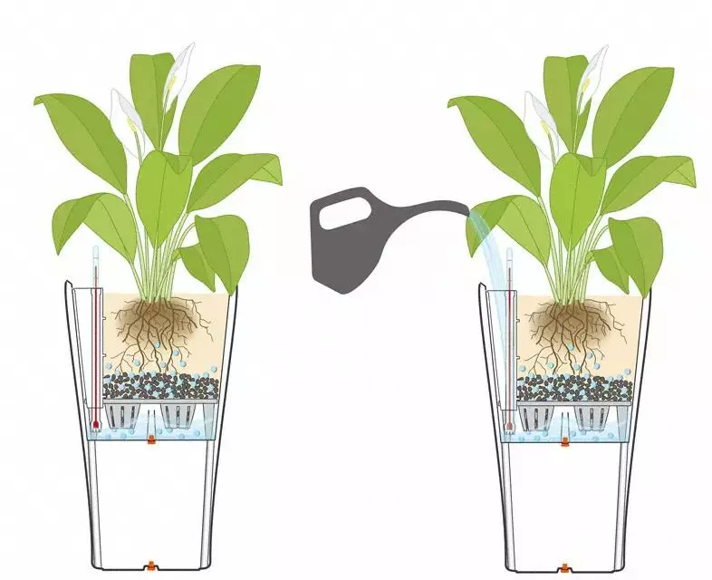 GSC Lechuza® Delta Premium Self-Watering Planters 6 GSC Lechuza® Delta Premium Self-Watering Planters - Image 4