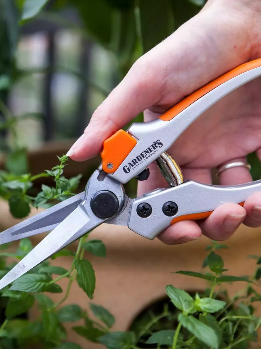 GSC Long Snips 3 GSC Long Snips