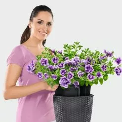 PRP Lechuza® Nido Cottage Wicker Hanging Planter -Plant Supports Shop 8591154GT 006V tif