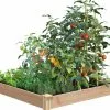 PRP Cedar Raised Garden Bed, 4' X 4' X 6" -Plant Supports Shop 8591724 01V tif