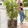 GSC Gardener's Revolution® Tomato Planter -Plant Supports Shop 8592159 406 001E tif