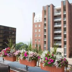 GSC Adjustable Self-Watering Railing Planter, 24" 12 GSC Adjustable Self-Watering Railing Planter, 24" -Plant Supports Shop 8592173TC 2383 tif