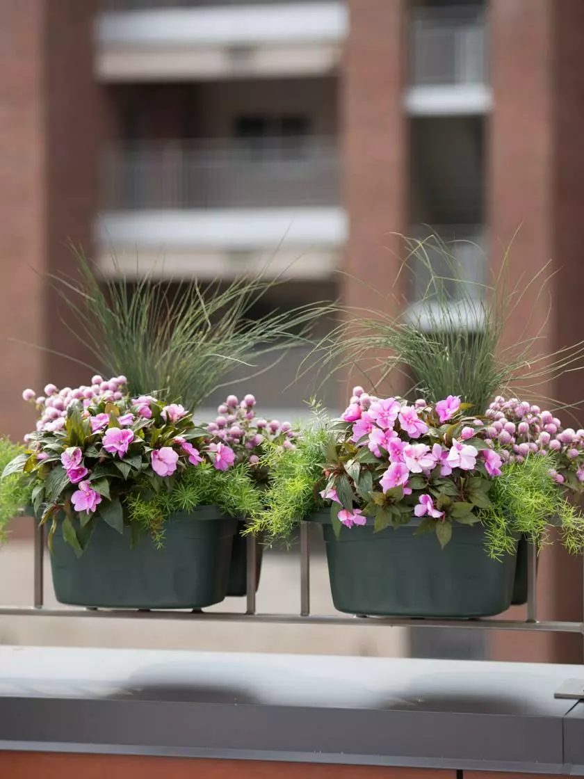 GSC Self-Watering Saddle Railing Planter, 16" 5 GSC Self-Watering Saddle Railing Planter, 16" - Image 3