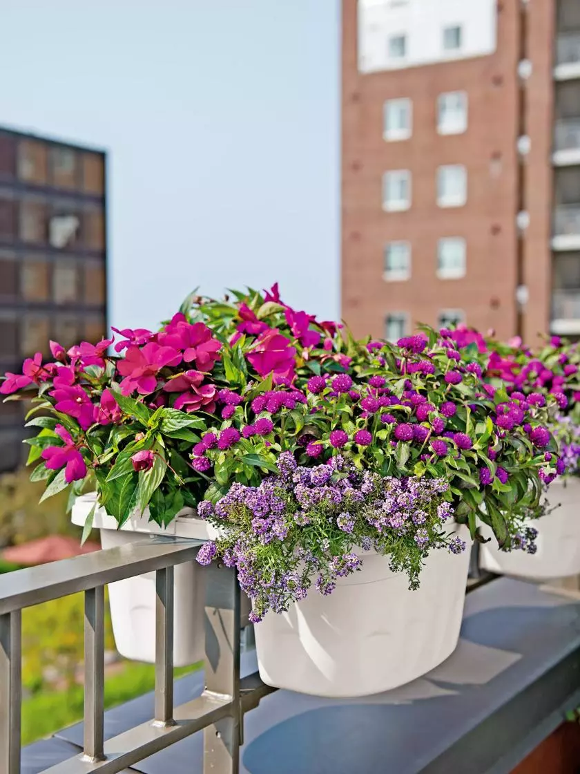 GSC Self-Watering Saddle Railing Planter, 16" 3 GSC Self-Watering Saddle Railing Planter, 16"