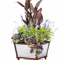 GSC Galvanized Self-Watering Planters -Plant Supports Shop 8592176 5067 tif
