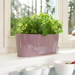 GSC Lechuza® Delta Self-Watering Windowsill Planters -Plant Supports Shop 8592361 01V tif
