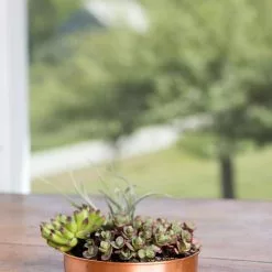 GSC Extra Small Round Copper Plant Tray, 8" 13 GSC Extra Small Round Copper Plant Tray, 8" -Plant Supports Shop 8593528 4521 tif