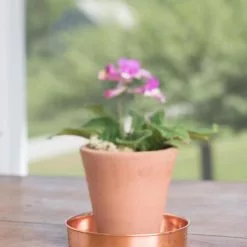 GSC Extra Small Round Copper Plant Tray, 8" 14 GSC Extra Small Round Copper Plant Tray, 8" -Plant Supports Shop 8593528 4522 tif