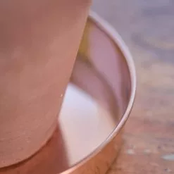 GSC Extra Small Round Copper Plant Tray, 8" 11 GSC Extra Small Round Copper Plant Tray, 8" -Plant Supports Shop 8593528 4529 tif