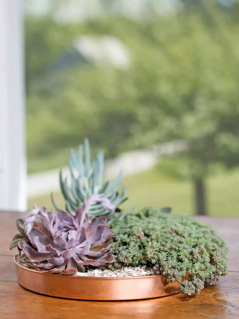 GSC Medium Round Copper Plant Tray, 12" 3 GSC Medium Round Copper Plant Tray, 12"