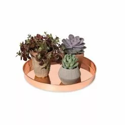 GSC Large Round Copper Plant Tray, 14" -Plant Supports Shop 8593531 2923 tif