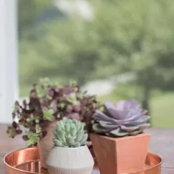 GSC Large Round Copper Plant Tray, 14" -Plant Supports Shop 8593531 4518 tif