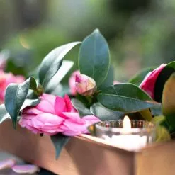 GSC Rectangular Copper Plant Tray, 18"x4" -Plant Supports Shop 8593532 02IN tif