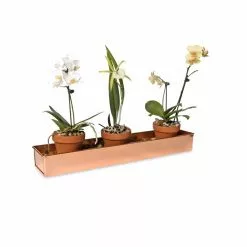 GSC Rectangular Copper Plant Tray, 18"x4" -Plant Supports Shop 8593532 2890 tif