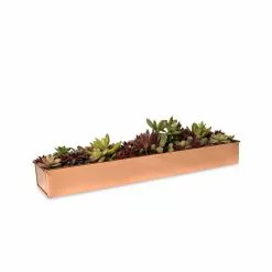 GSC Rectangular Copper Plant Tray, 18"x4" -Plant Supports Shop 8593532 2892 tif