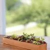 GSC Rectangular Copper Plant Tray, 18"x4" -Plant Supports Shop 8593532 4632 tif