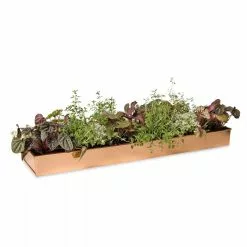GSC Rectangular Copper Plant Tray, 24" X 5" -Plant Supports Shop 8593533 2878 tif