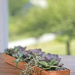 GSC Rectangular Copper Plant Tray, 24" X 5"