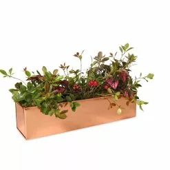 GSC Tall Rectangular Copper Plant Tray, 18" X 5" X 4" -Plant Supports Shop 8593534 2899 tif