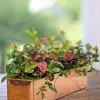 GSC Tall Rectangular Copper Plant Tray, 18" X 5" X 4" -Plant Supports Shop 8593534 4617 tif