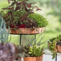 GSC Small Round Copper Plant Tray, 10" 8 GSC Small Round Copper Plant Tray, 10" -Plant Supports Shop 8593564 4399 tif