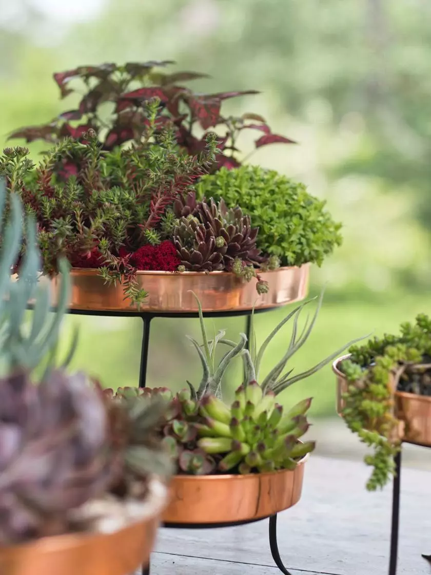 GSC Small Round Copper Plant Tray, 10" 5 GSC Small Round Copper Plant Tray, 10" - Image 3