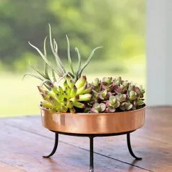 GSC Extra Small Round Copper Plant Tray, 8" 15 GSC Extra Small Round Copper Plant Tray, 8" -Plant Supports Shop 8593564 4641 001E tif