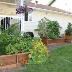 GSC OLT Raised Cedar Garden Bed, 3' X 6' -Plant Supports Shop 8594002 03V tif